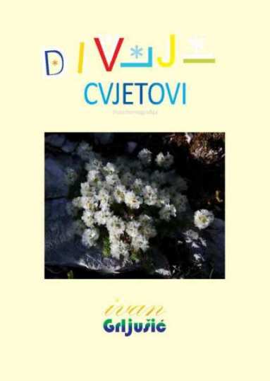 DIVLJI CVJETOVI
